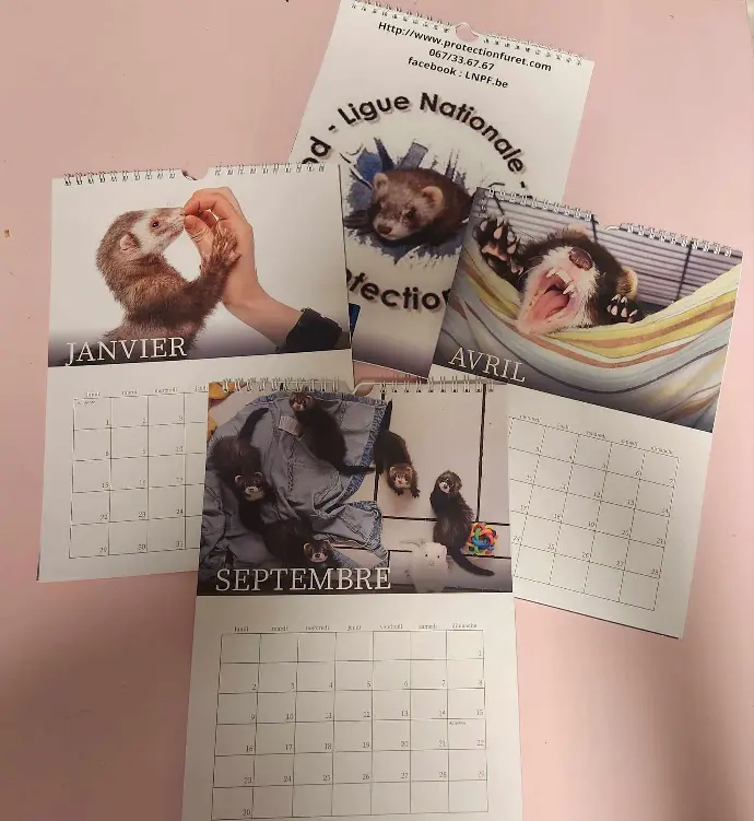 calendrier furet 2024