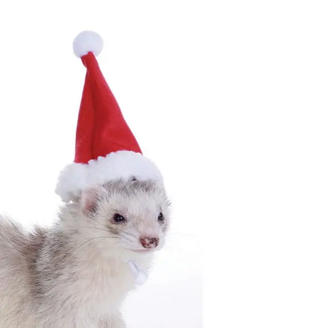 bonnet de Noël